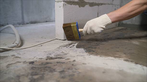 SJ Waterproofing Pros Sump Pump Installation coverage map for Livonia, MI and surrounding area